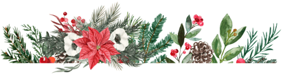 whites christmas img