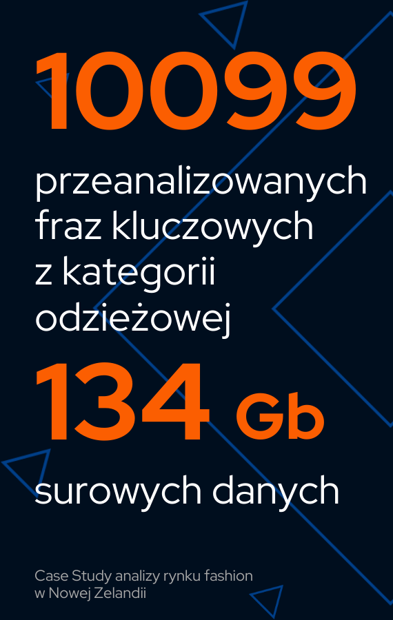 www case study pionowa (1)