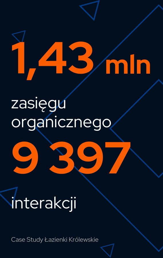 www case study pionowa (2)